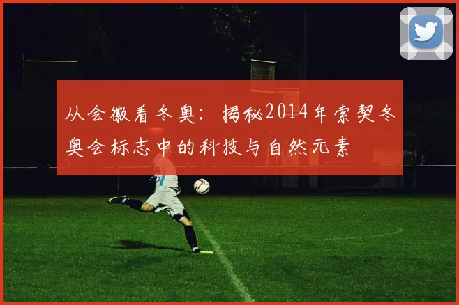 从会徽看冬奥：揭秘2014年索契冬奥会标志中的科技与自然元素